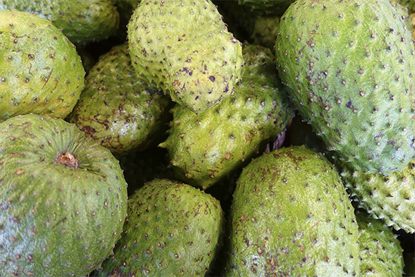 Hvordan velge og lagre guanabana