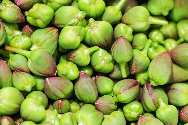 Er det mulig å spise kapers akkurat slik