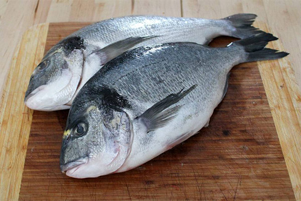 Els avantatges i els perjudicis del dorado