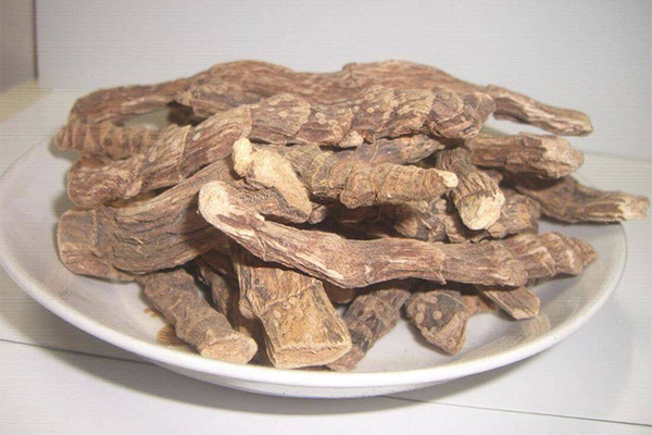 L’ús de calamus en la cuina