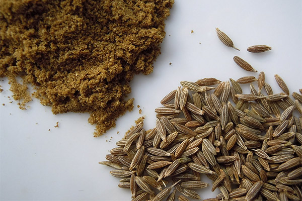 Bruken av zira i folkemedisinen