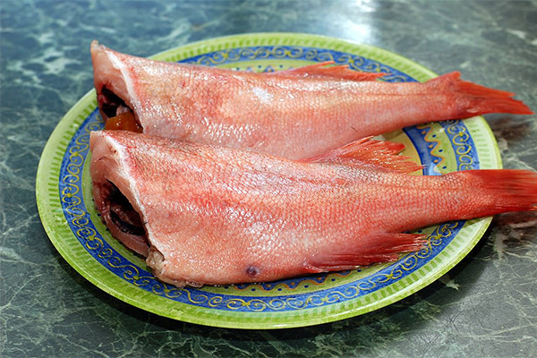 Hva er nyttig havabbor