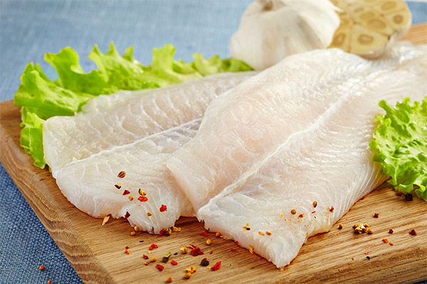Hvorfor pangasius er nyttig