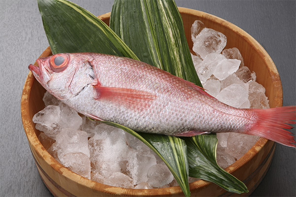 Hvordan velge og lagre havabbor