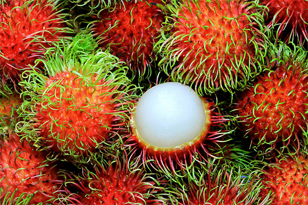 Com triar i emmagatzemar rambutan