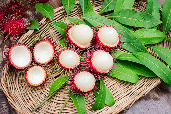 L’ús de la fruita de rambutan en medicina
