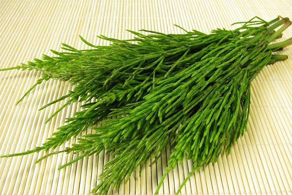 Bruken av feltkjerringrokk i kosmetologi