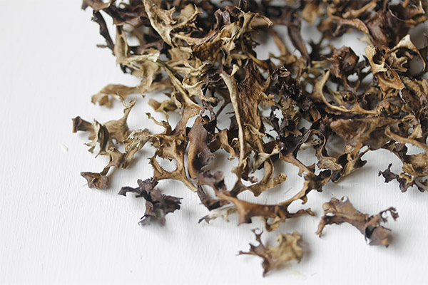 Typer legende forbindelser med islandsk mose