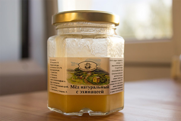 > Hva er bruken av honning fra Echinacea