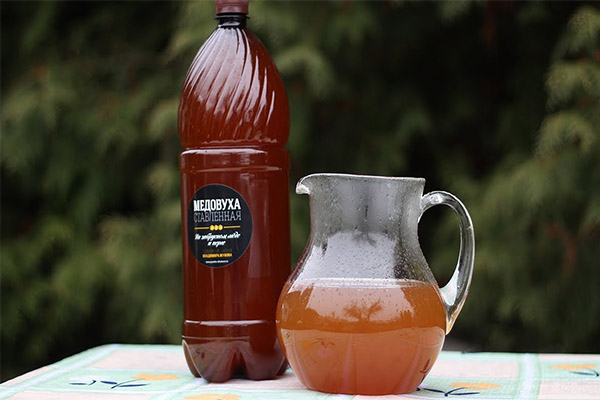 Interessante fakta om mjød