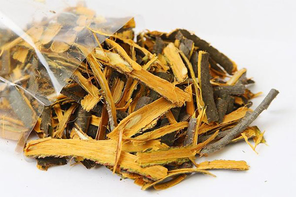 Les propietats curatives de l'escorça de fajol