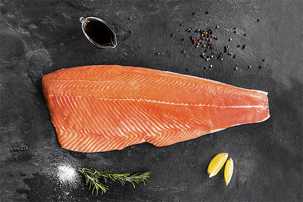 Puc donar truites als gossos?