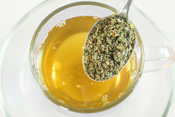 Typer medisinske forbindelser med knuteweed