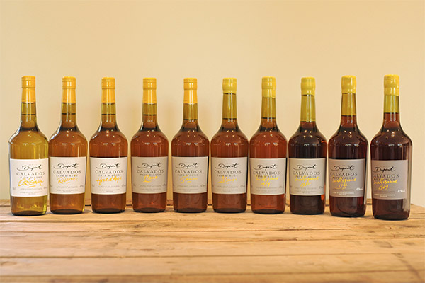 Занимљиве чињенице о Цалвадосу