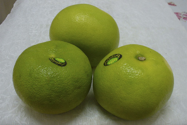 Com triar i emmagatzemar les suites