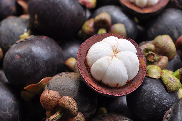 Mangosteen en medicina popular