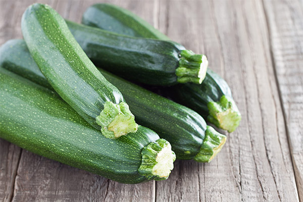 Nyttige egenskaper av courgette