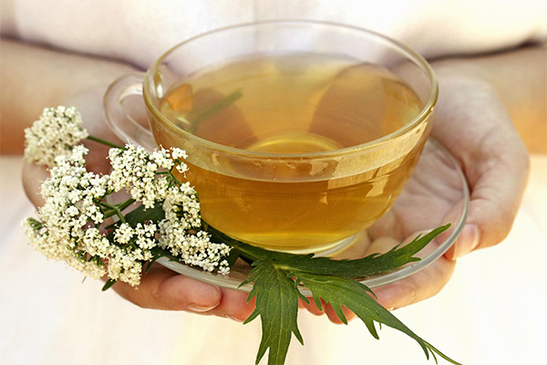 Typer medisinske forbindelser med valerian