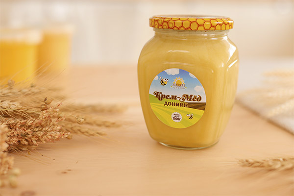 Nyttige egenskaper av kløver honning