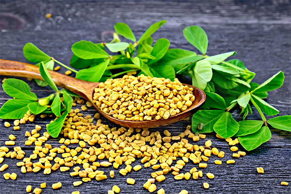 Propietats útils de fenugreek