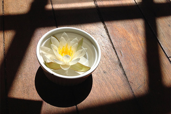 Typer medisinske forbindelser med en vannlilje