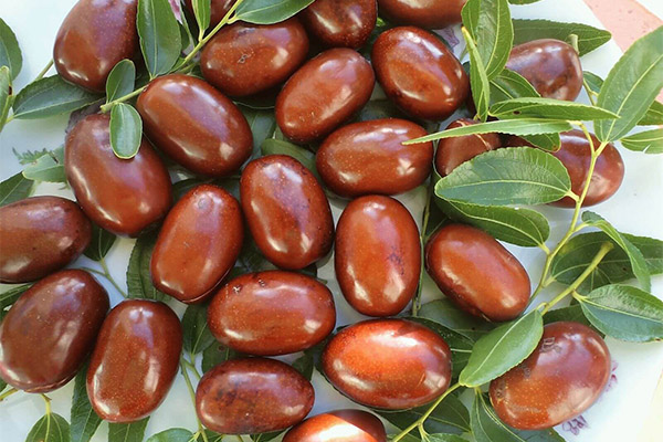 Danys i contraindicacions unabi