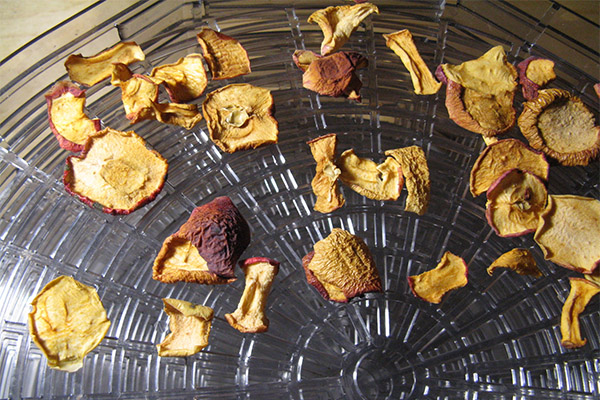 Hvordan tørke epler i en elektrisk tørketrommel