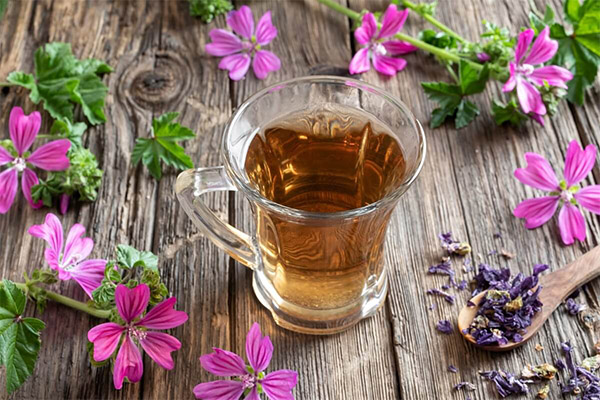 Typer medisinske forbindelser med mygskog